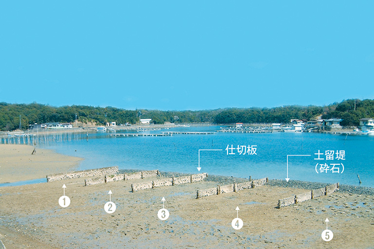 英虞湾の干潟再生実験区